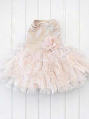 Beautiful frilly dog dress, size small, blush pink. Ruffles and a flower.